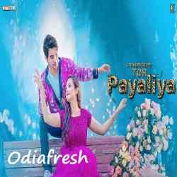 Chham Ku Che Tor Payaliya